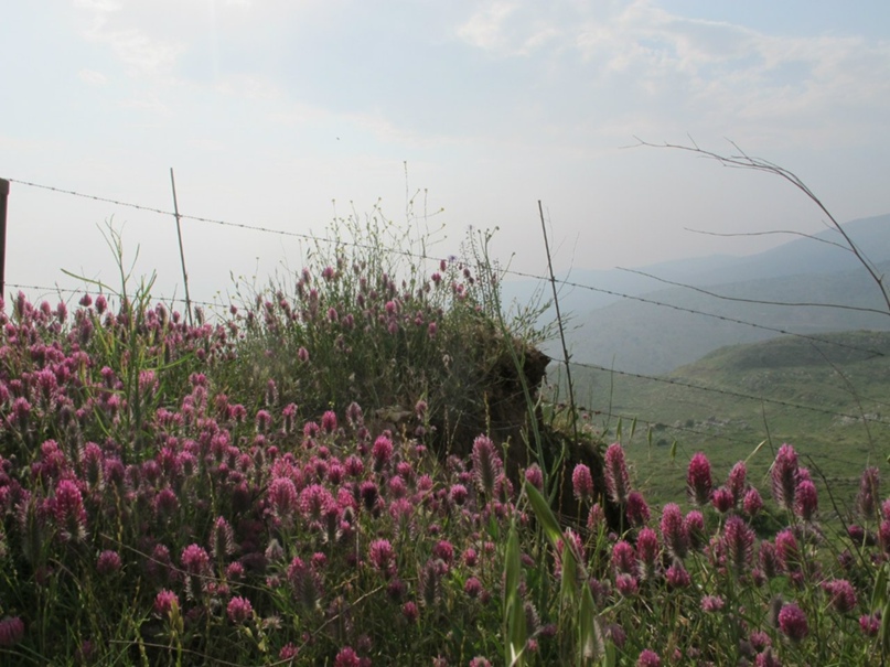 Мария Кравченко | Москва
