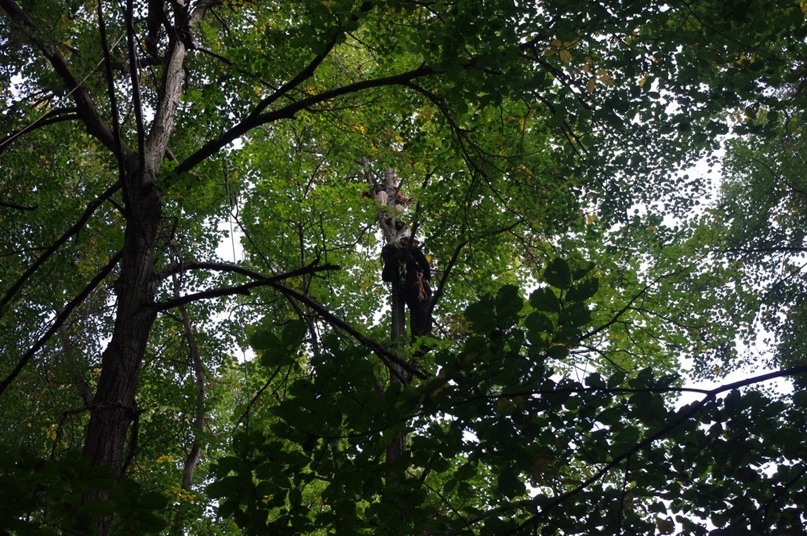 Арсений Беляев | Казань