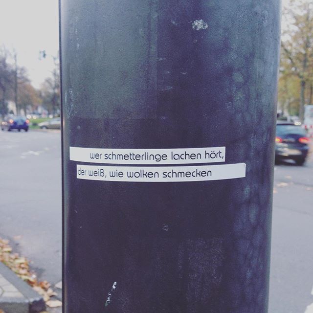 Sergej Seibel | Köln