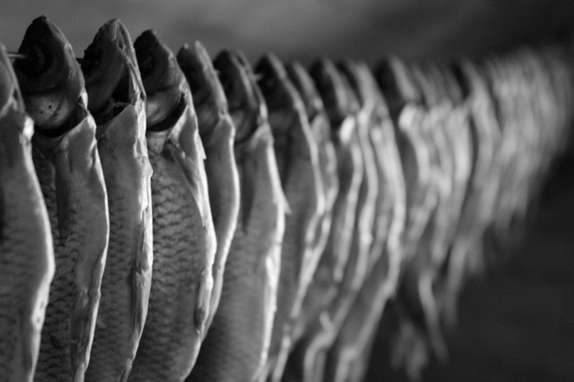 Виктория Веселова | Санкт-Петербург