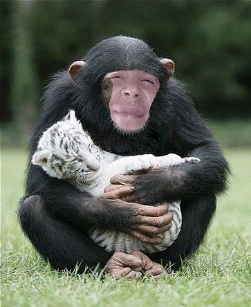 Владимир Устинов | Тула