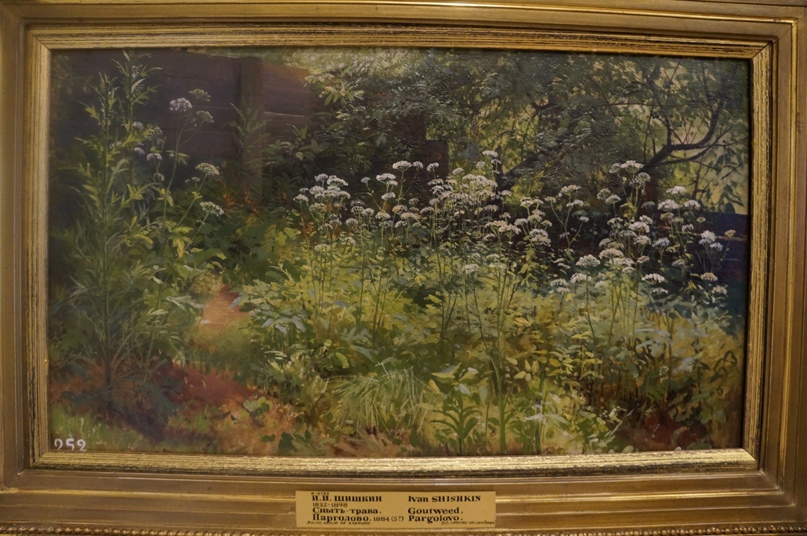 Вероника Маслова | Санкт-Петербург