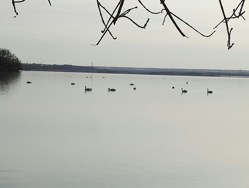 Екатерина Прохорова | Иваново