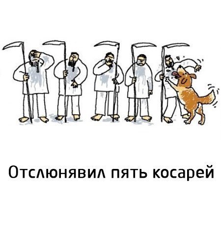 Роман Камынин | Воронеж