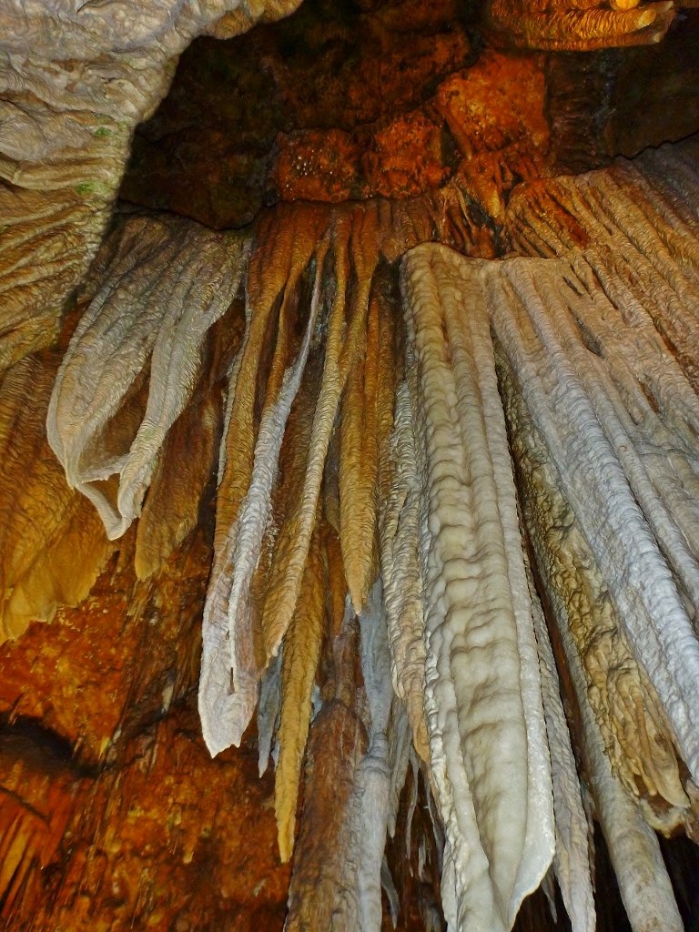 Алексей Рухлин | Apex