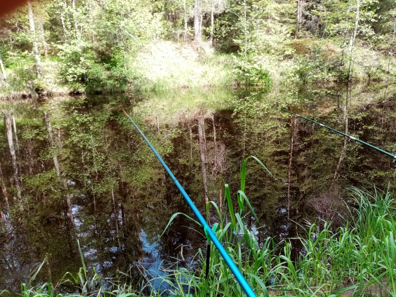 Александр Парнов | Череповец