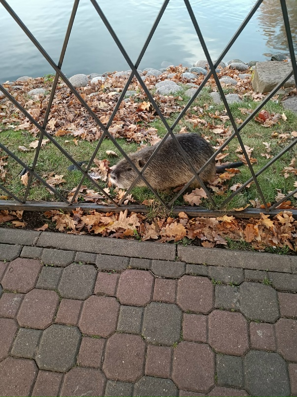 Наталья Артёмова .. | Москва