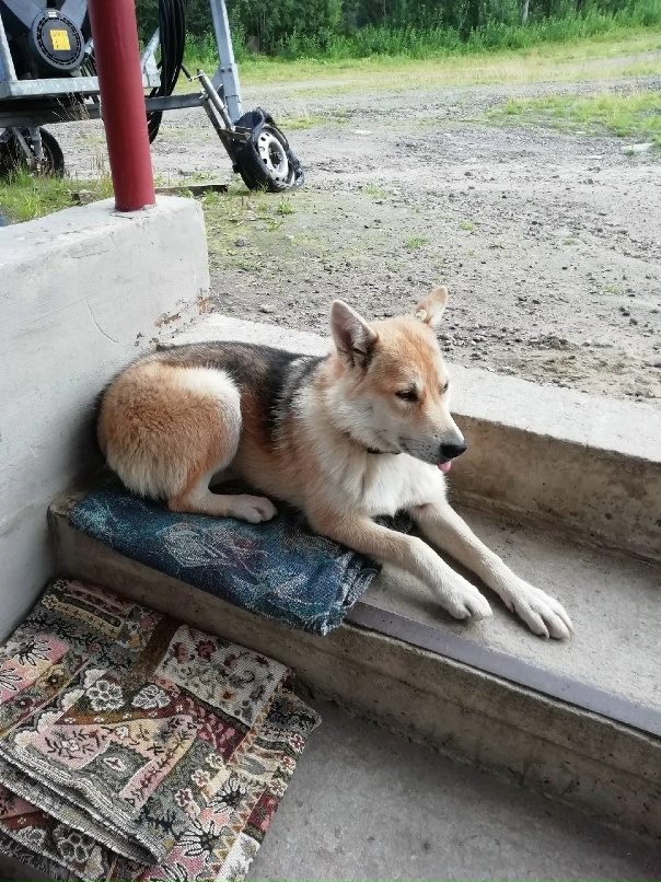 Алёна Склярова | Мурманск