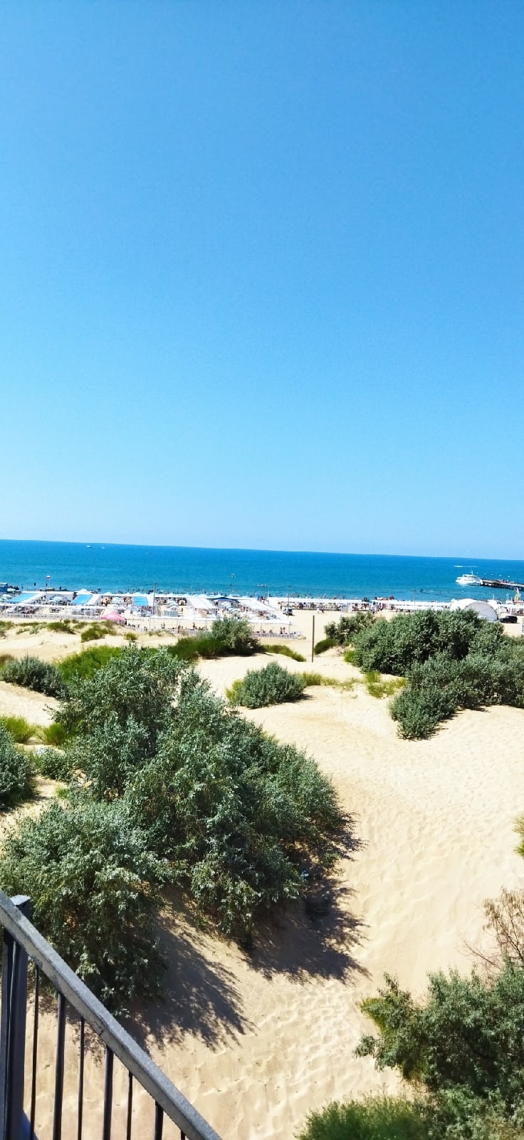 Ирина Лаптева | Пийтсиеки