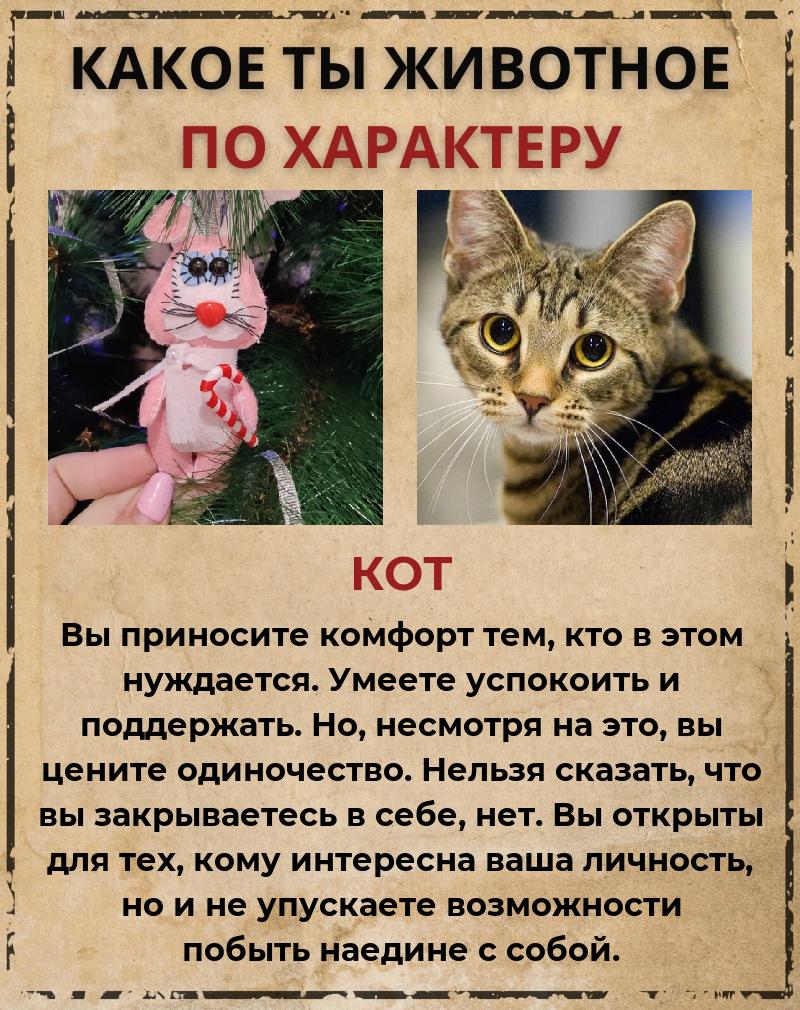 Наталья Бритова | Балаково