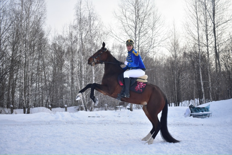 Станислав Беседин | Новосибирск