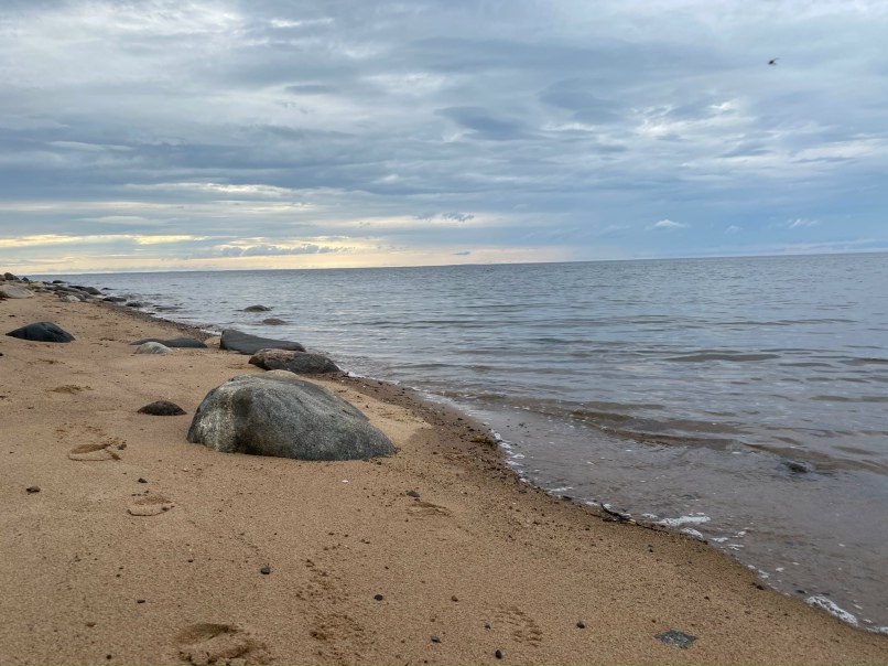 Надежда Анисимова | Санкт-Петербург