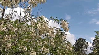 НАУЧИ НАС МОЛИТСЯ
