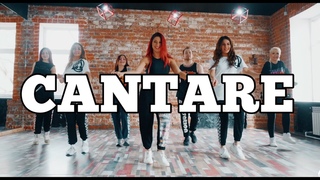 CANTARE - Pitbull feat  Lenier | SALSATIONFitness Choreography by SMT Julia Trotskaya