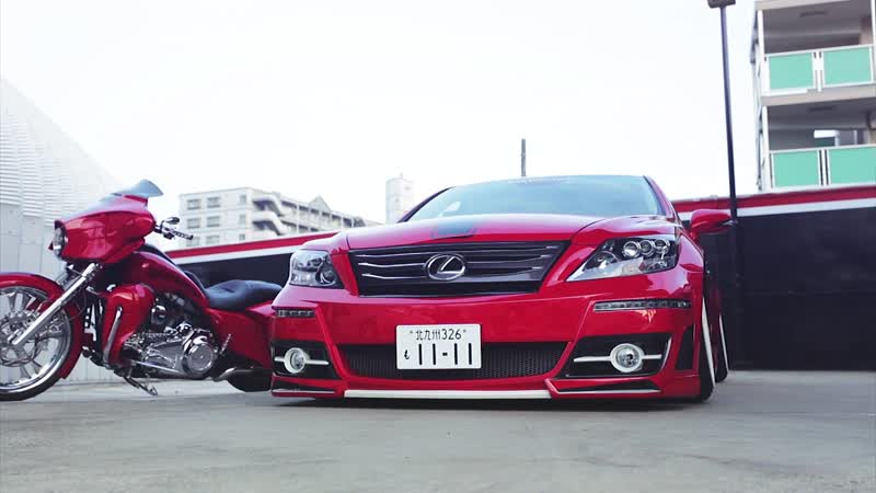 Chris K Anderson, Stance Nation: Job