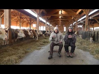 HUMISAL Bauerndemo - Bauernkrieg - BauernFRIEDEN - Black Rock - WEF