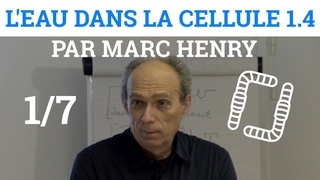 1/7 - Marc HENRY - L'Eau dans la Cellule - Les 6 Dimensions