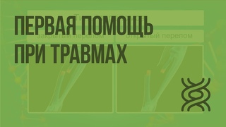 Первая помощь при травмах: растяжениях связок, вывихах суставов, переломах костей. Видеоурок