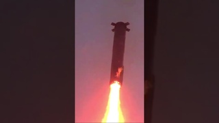 Starship Flight 5 recap #spacex #starship
