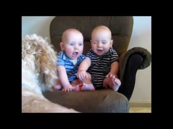 Twin Babies Best