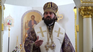 Почему мы отказываемся слышать и говорить