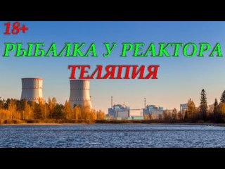 Отличный КЛЁВ Экзотической рыбы ТИЛЯПИИ Рыбалка на озере Удомля. ЧУДО-ОЗЕРО РУЛИТ.