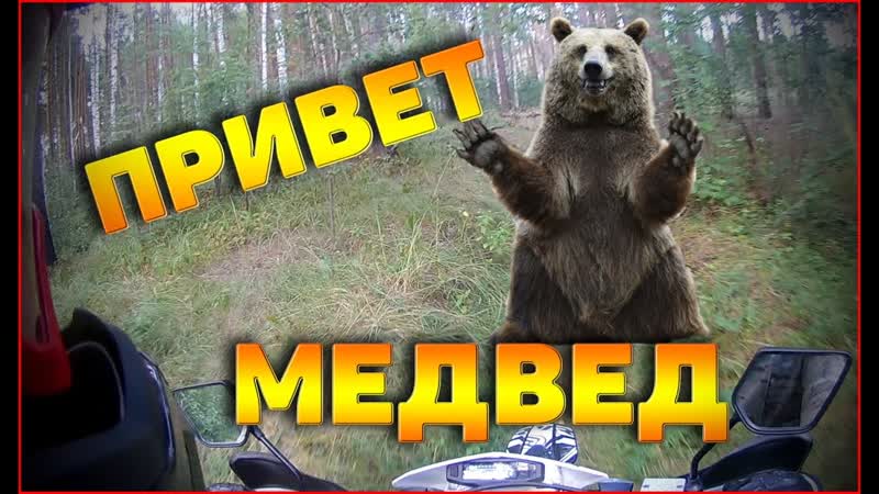 На МОТОЦИКЛЕ в лесу ДИКИХ ЗВЕРЕЙ