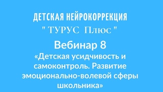 Вебинар 8 Детская усидчивость и самоконтроль  Развитие эмоционально волевой сферы школьника