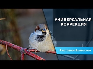 Универсальная коррекция