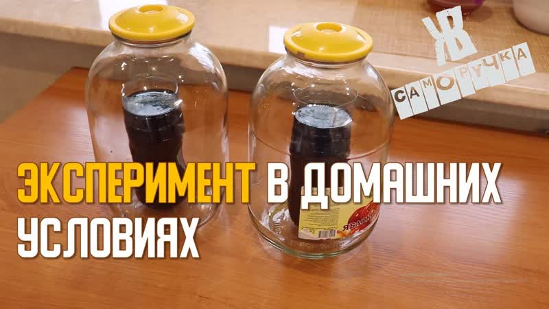 Стабилизирую древесину в домашних условиях для рукояти