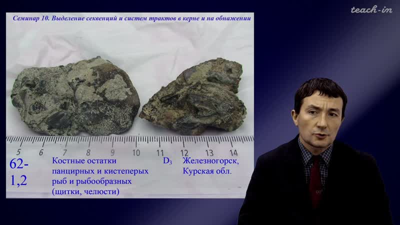 Габдуллин Р. Р. Секвентная стратиграфия. Семинары 10. Керн и