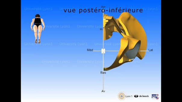 Organisation de lespace : apprentissage de