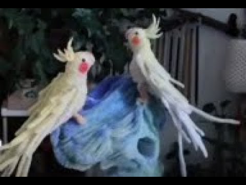 Con vẹt từ kẽm nhung, Làm đồ
