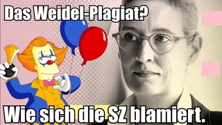 Hat Alice Weidel plagiiert?
