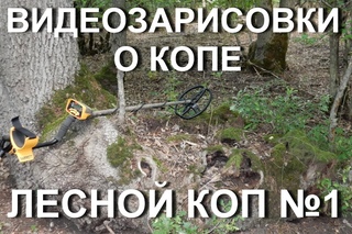 Видеозарисовки о копе.  Лесной коп №1. Крымский лес