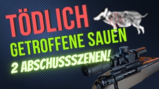 So erkennst du TDLICH getroffene SAUEN - Schusszeichen | Der Jungjgerguide