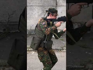Плитоносец Назгул