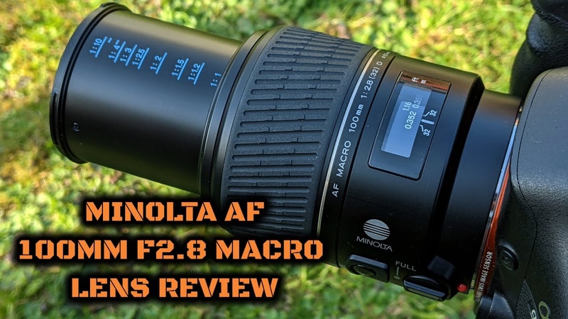 Minolta AF 100mm F2. 8 Macro ( D): Lens
