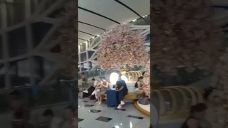 Аэропорт в Пекине, космическая тема в архитектуре. Отъезд из Китая,заверш-е поездки.Наталия Гришаева
