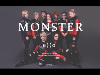 STAGE Animatrix 2017: EXO - Monster cover by SFVisit