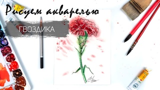 Рисуем гвоздику к 9 мая. Уроки рисования. Акварельный скетчинг.