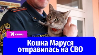 Пожарная кошка Маруся отправилась на СВО