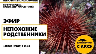 Детский эфир Непохожие родственники в рамках рубрики Неурочные беспозвоночные