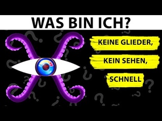85 Rtsel, die selbst Sheldon Cooper berraschen