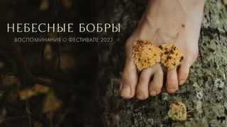 Фестиваль Небесные Бобры '23