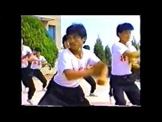 5  QI XING TANG LANG QUAN