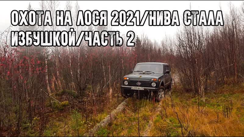 Охота на лося 2021, Пришлось ночевать в машине, Тетерева нас