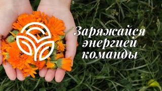 ЛШ () Запуск онлайн продуктов