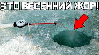 НЕ ДУМАЛ ТАК ПОПАСТЬ! Крупняк лупит ПО-ДИКОМУ! Рыбалка весной 2024