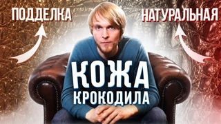 Как отличить КОЖУ КРОКОДИЛА от ПОДДЕЛКИ, 5 способов. Натуральная кожа аллигатора или имитация | 12+